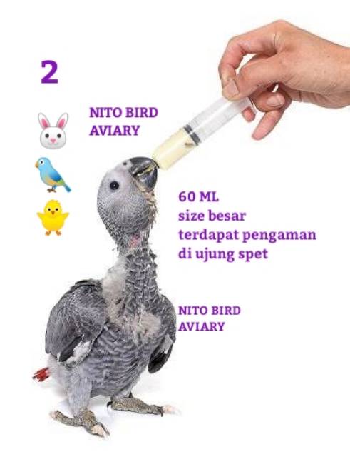 Spet loloh suntikan burung parrot afgrey macaw kakatua 60 ml cc besar spetan lolohan pemberi makan kucing