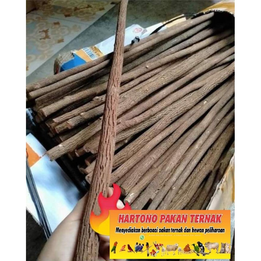 TANGKRINGAN PANGKRINGAN KAYU ASEM JAWA PANJANG -+ 60 CM