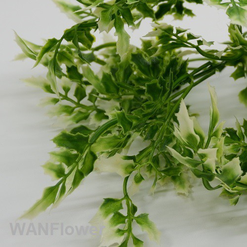 WANFLOWER Daun X5 * ALL