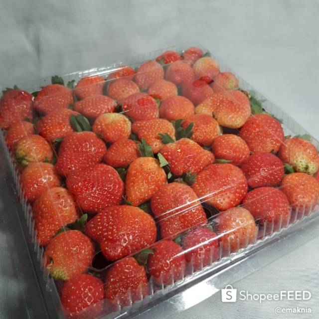 

Strawberry Kelly