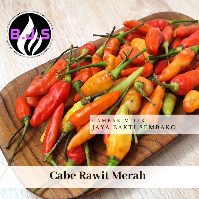 

Promo Spesial - Cabe Rawit Setan 1Kg