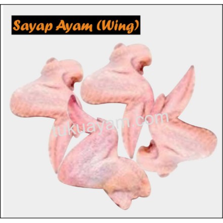 

Daging Sayap Ayam - Chicken Wings - Frozen