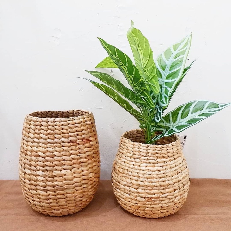 GUCI BULAT BESAR KECIL