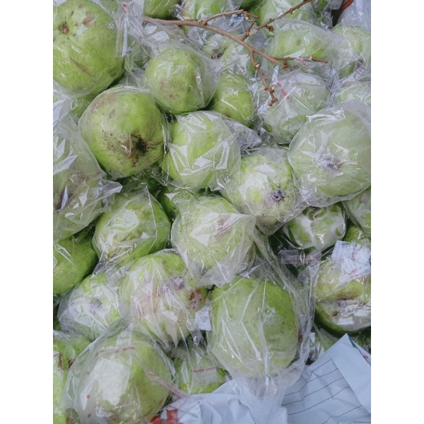 

Jambu Kristal 1 Kg