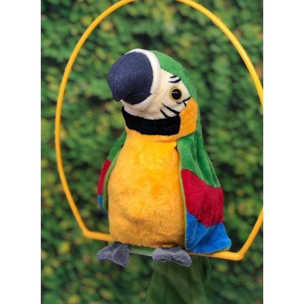 Hot Burung Beo Yang Bisa Mengikut Kita Bicara Shopee Indonesia