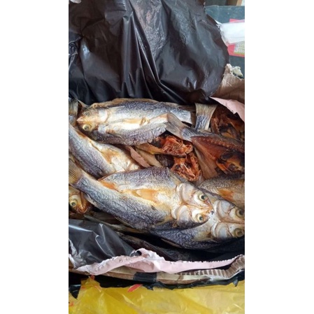 

ikan gesek Asin/tawar