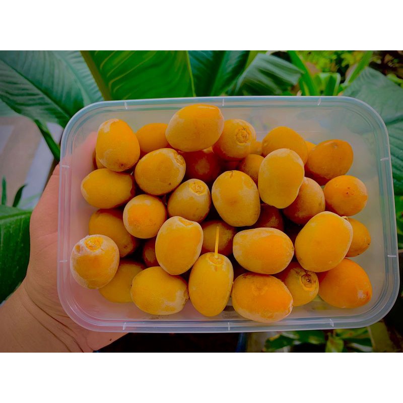 

Kurma Muda Rutob barhi frozen untuk Promil Enak Segar Fresh Manis Krenyes