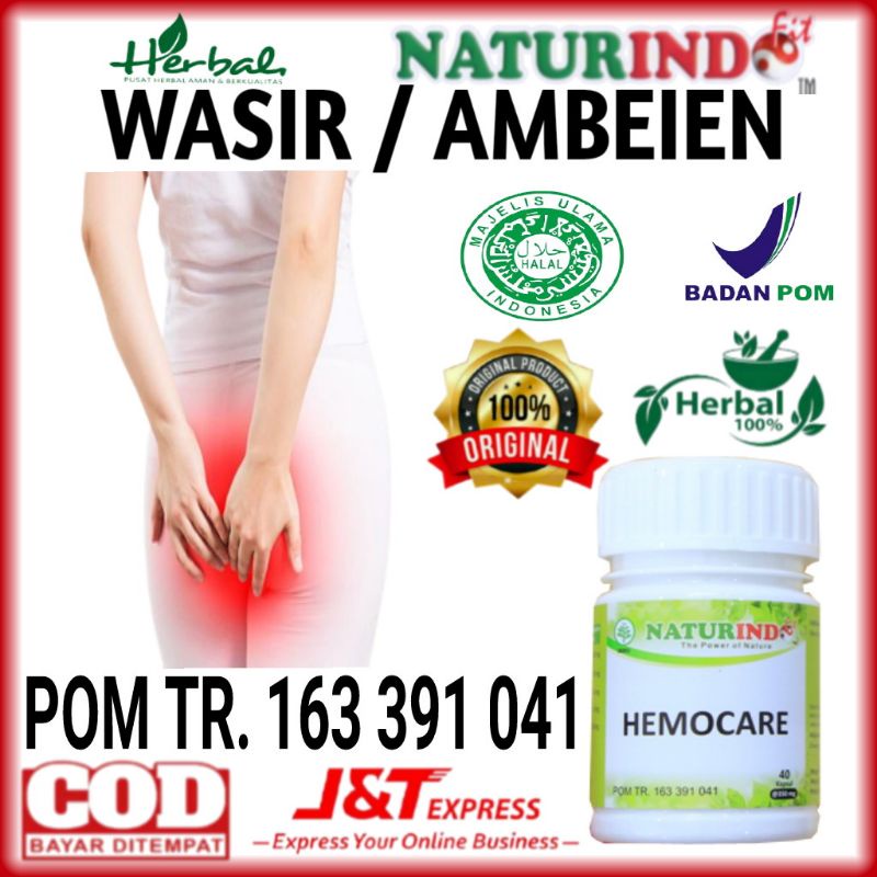 Obat Herbal Mengatasi wasir atau ambeien secara alami, obat herbal atasi wasir paling ampuh, obat Herbal atasi ambeien