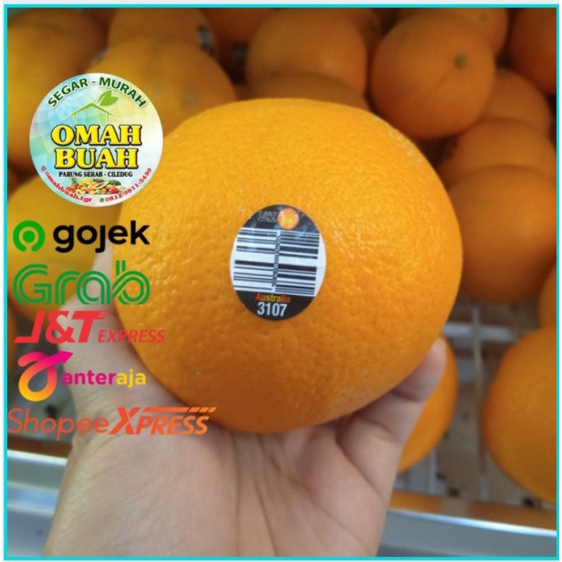 Jeruk Sunkist Navel Valencia 500gram -1 kg