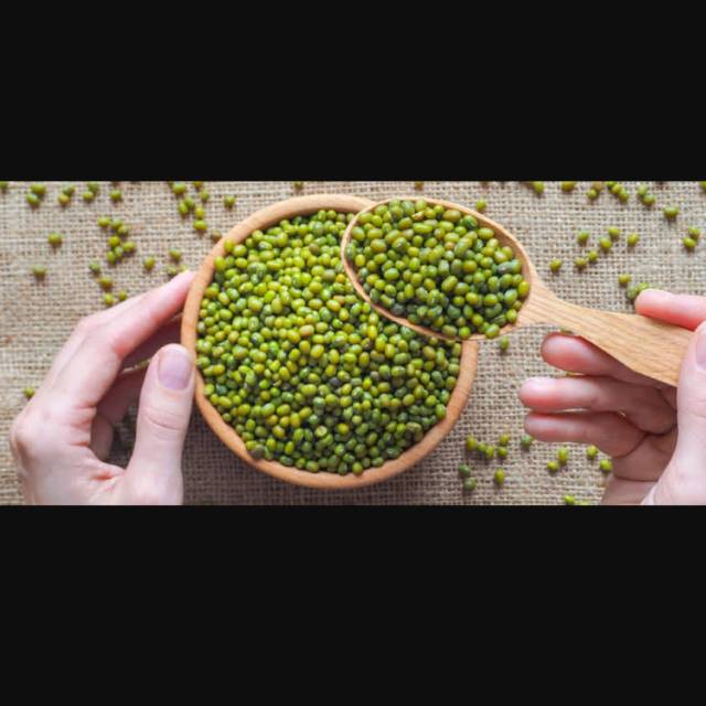 

Kacang hijau segar berkualitas
