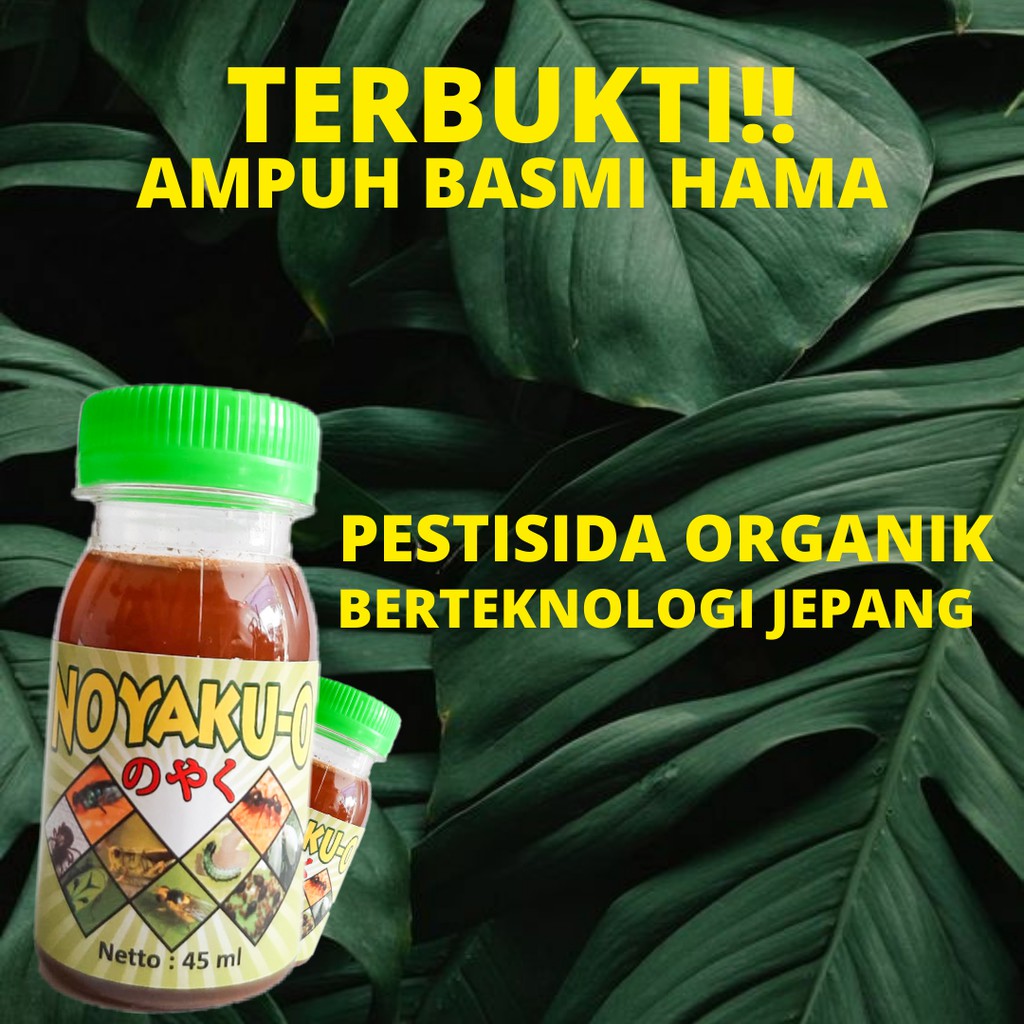 PESTISIDA ORGANIK AMPUH LINDUNGI TANAMAN ANDA DARI HAMA PENYAKIT ~ NOYAKU-O