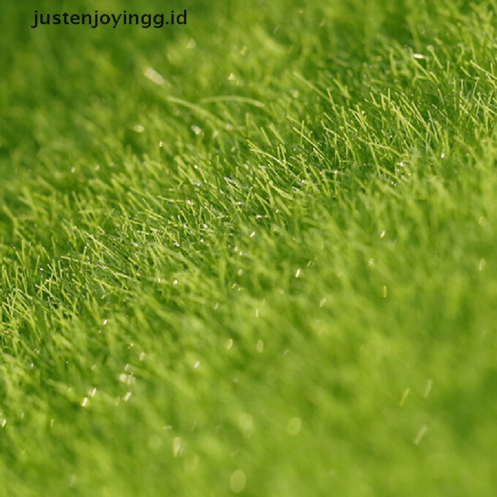 Ornamen Pot Rumput Taman Mini Untuk Dekorasi Rumah Boneka