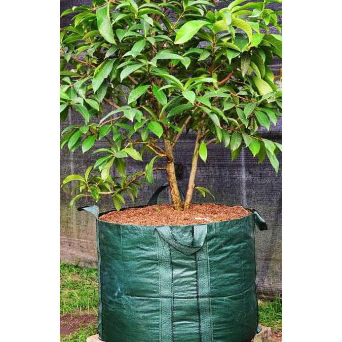 Paling Dicari] Best Planter Bag 300 Liter Plastik Polybag Pot Bibit Tanaman Buah /