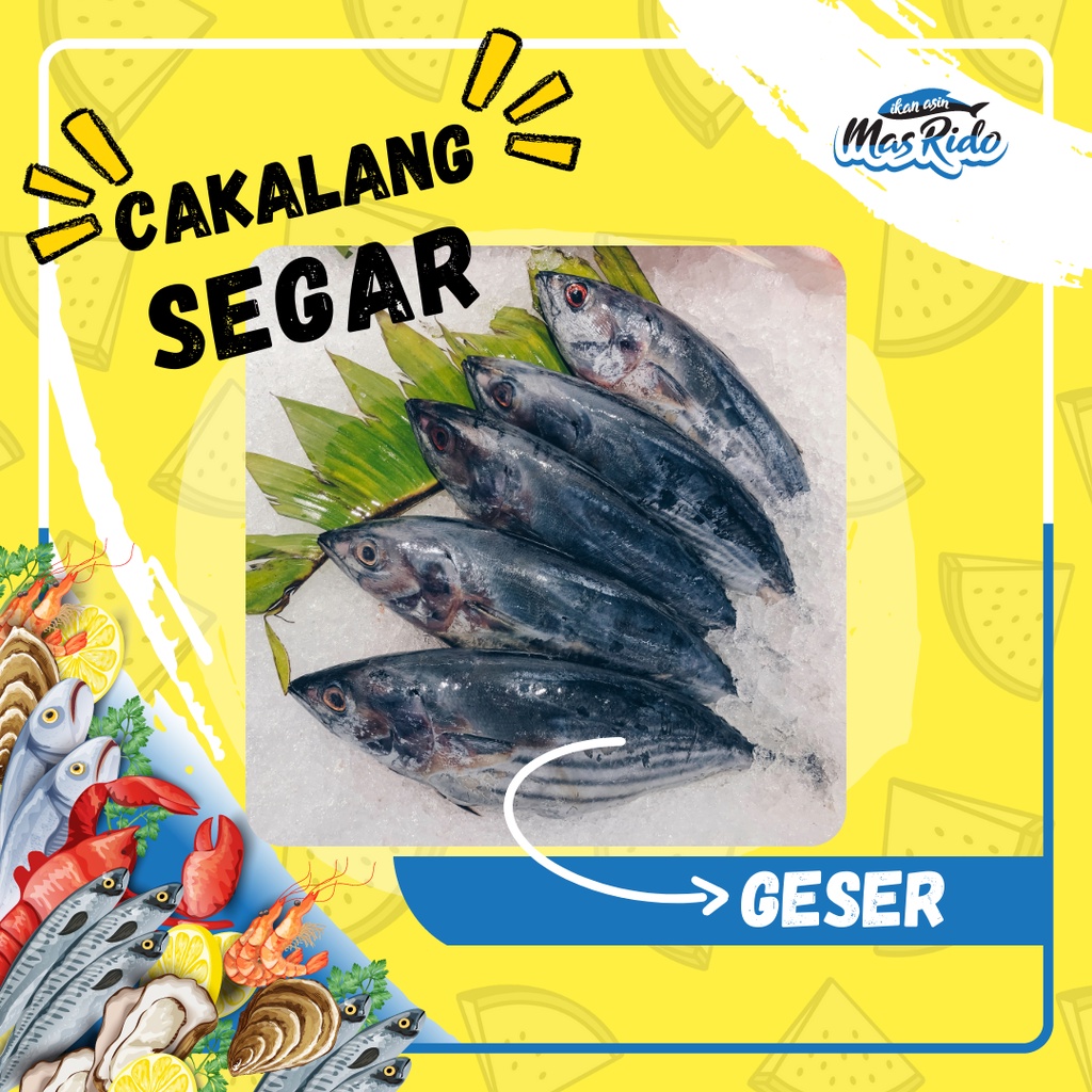 

Ikan Cakalang Segar Fresh Beku Kwalitas Super Segar Ikan Cakalang Super Segar Harga Termurah