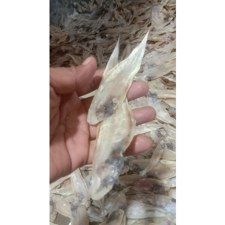 

IKAN ASIN LIDAH / IKAN LIDAH
