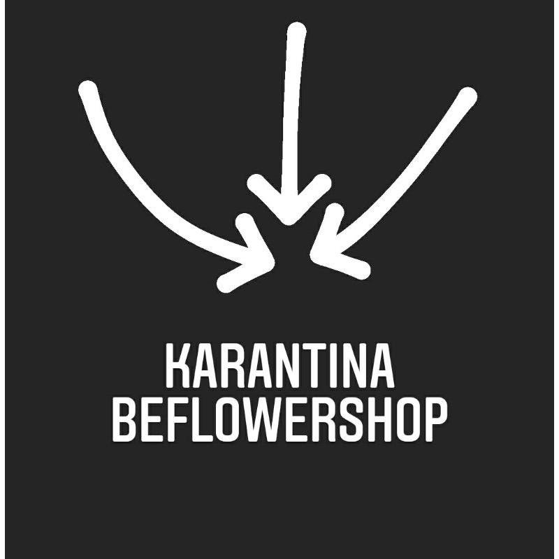 

karantina bunga