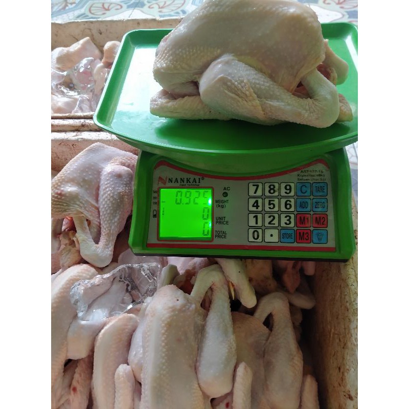 

Ayam Pejantan Plus ati ampela 600-1000gr