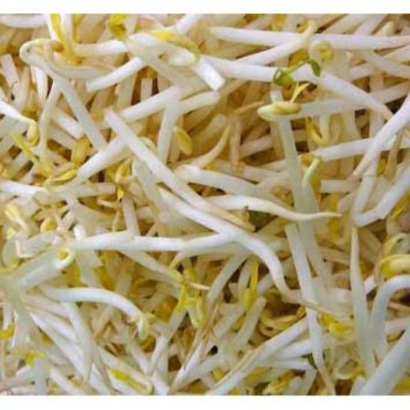 

250 gr toge panjang/kecamba kacang hijau/toge/