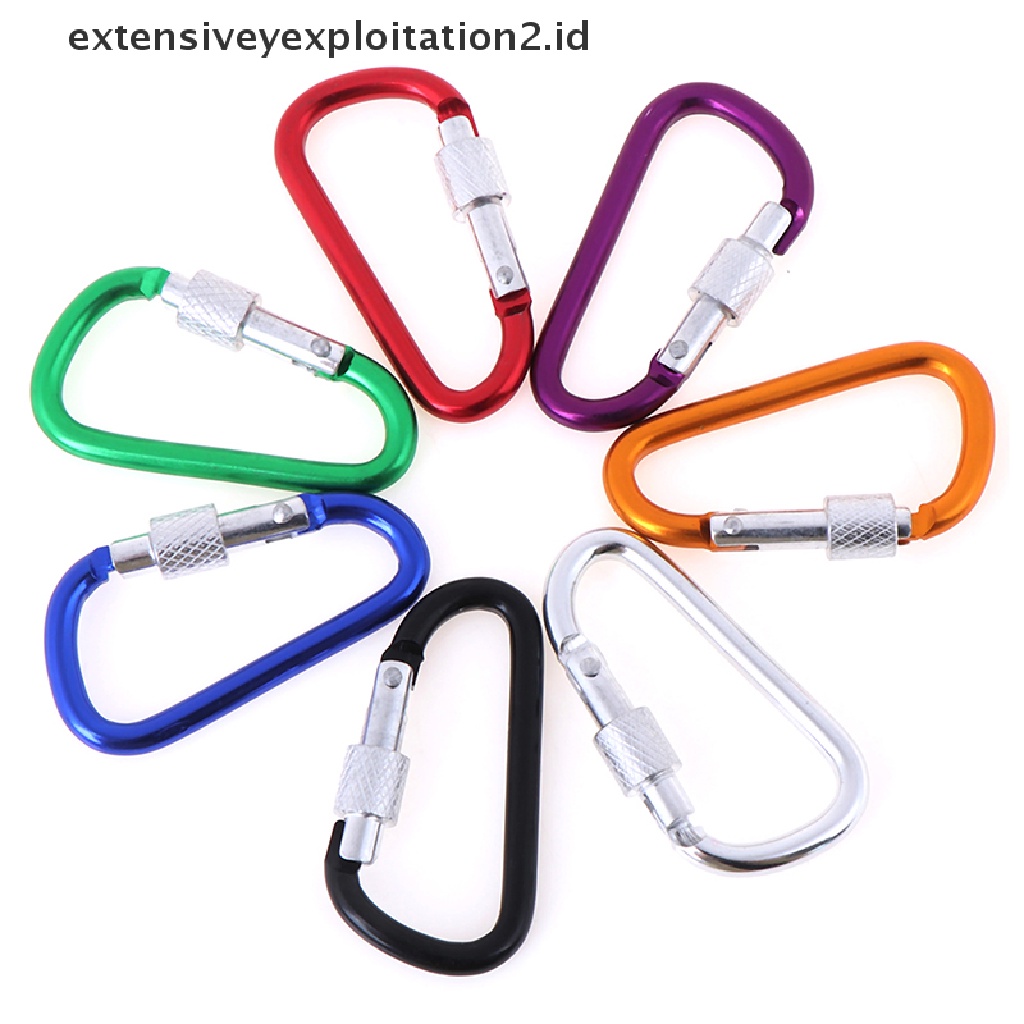 Id 2pcs Carabiner D-Ring Bahan Aluminum Untuk Gantungan Kunci / Outdoor