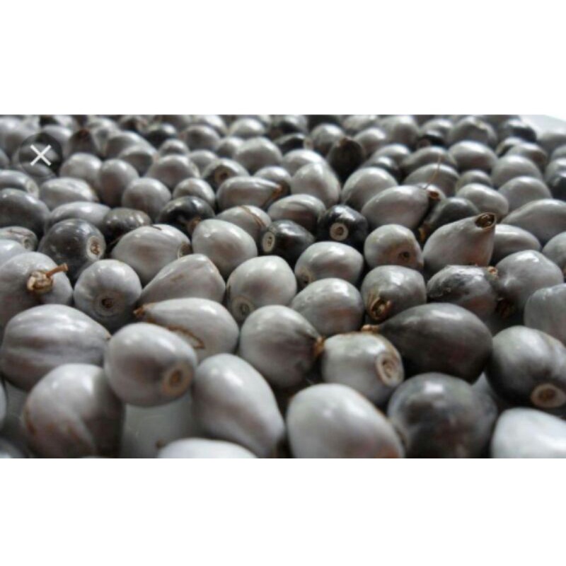 

biji jali/15 pcs