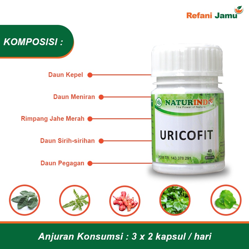 URICOFIT obat herbal asam urat dan nyeri sendi dengan gejala peradangan kesemutan dan kebas-2