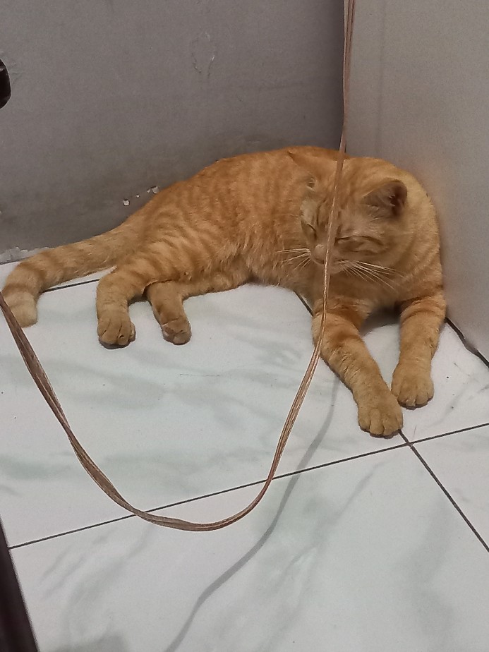 Teko Air Tea Coffee Bulat + Saringan Stainless Steel 18 Cm / 1.8 Liter