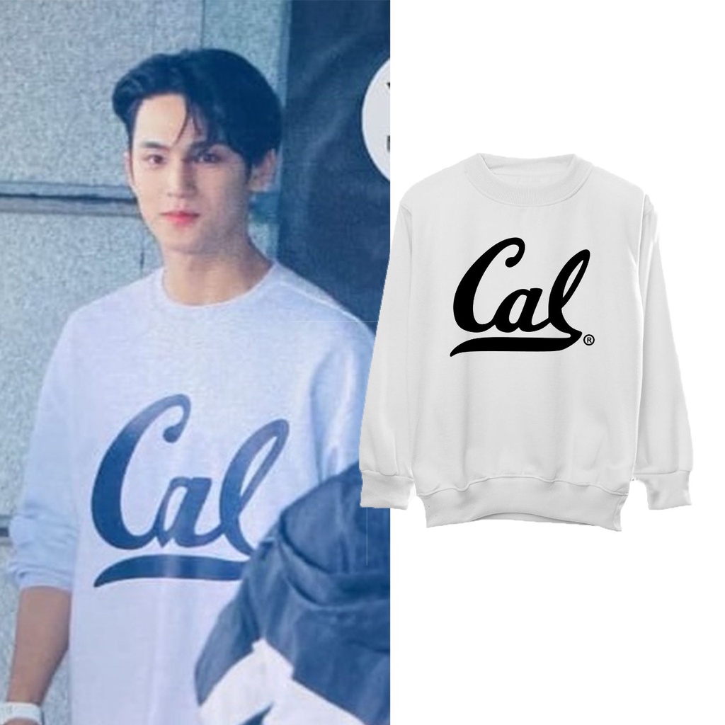 Sweater Basic Seventeen mingyu cal.