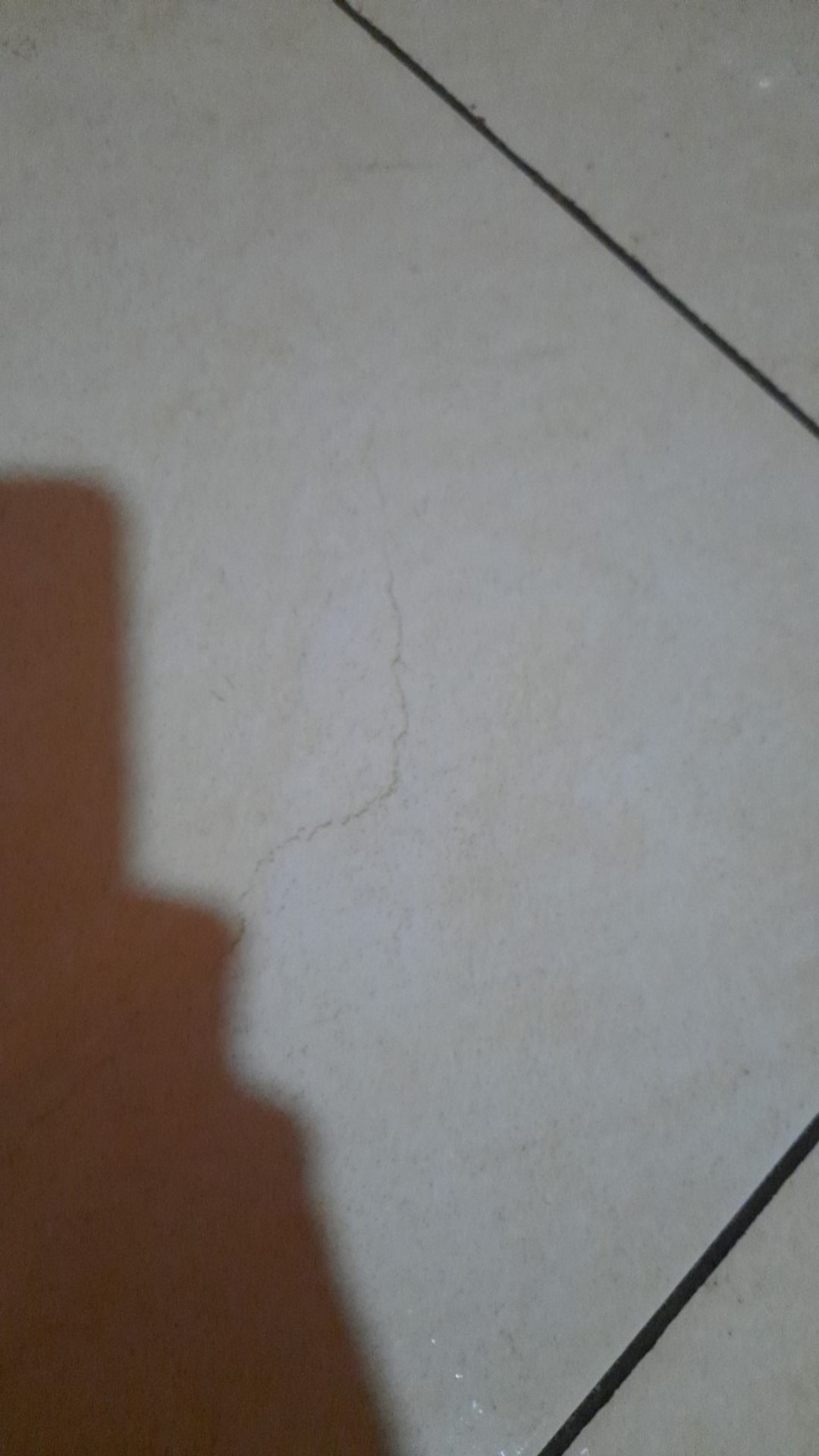 Payung Anak [ada Kuping] Model Hewan Warna-warni Lucu