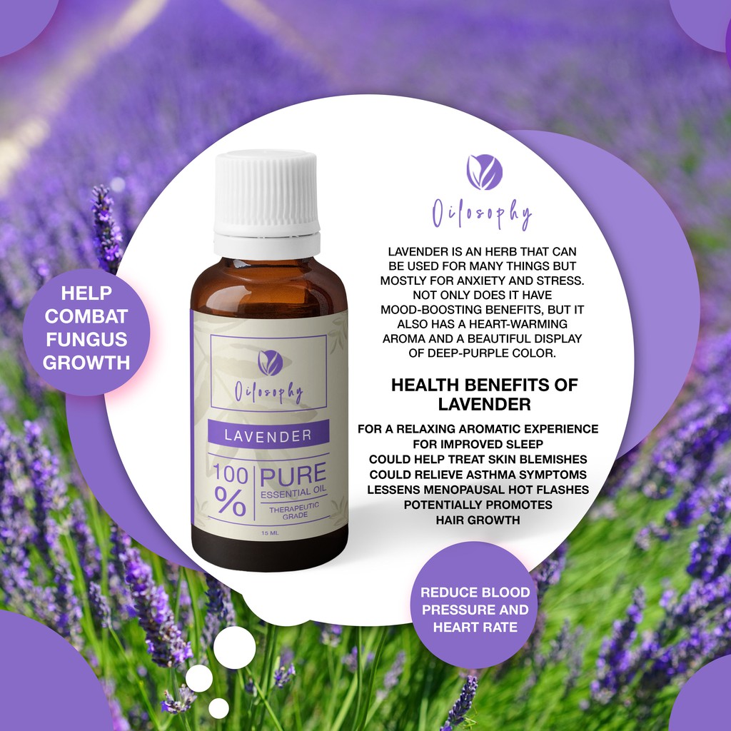 essential oil lavender