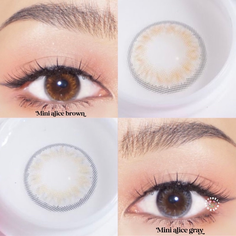 softlens mini alice gray &amp; brown original kawaii korea high quality uva uvb protect