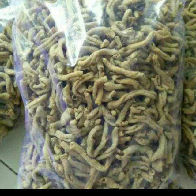 

Kripsus Bu Dapor Bu kar