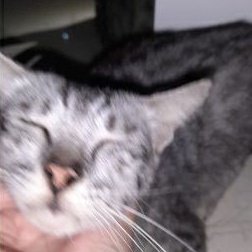 

kaset film anak (BACA DESC DULU AWAS GADIBACA)