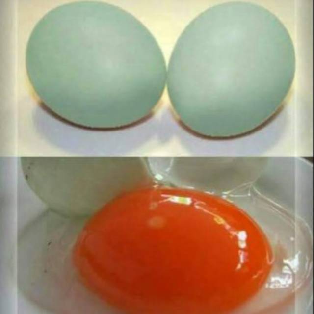 

Telur bebek mentah / 1 pc