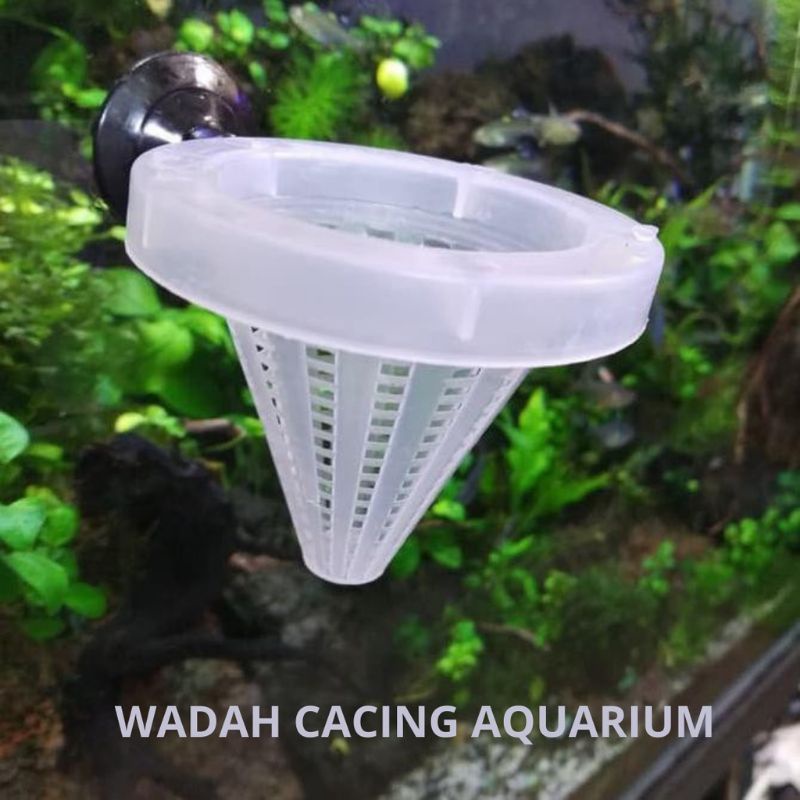 TEMPAT WADAH CACING SUTRA TEMPAT CASUT UNTUK AQUARIUM AQUASCAPE