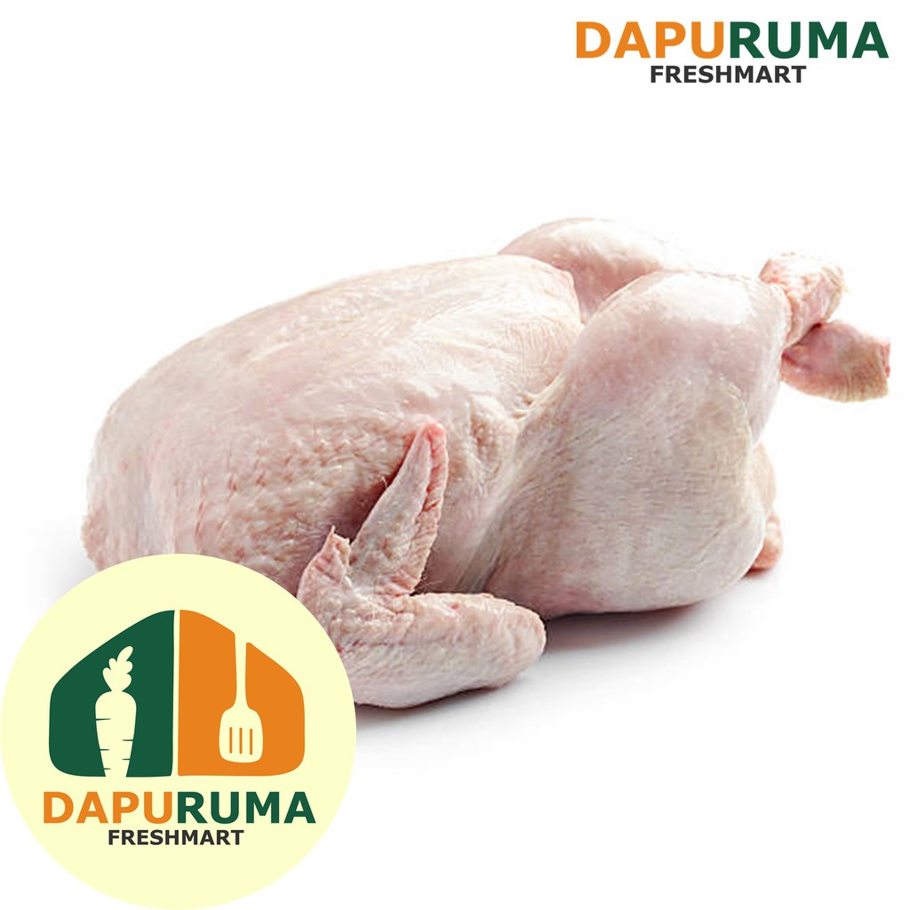 

Ayam Broiler frozen @1-1,1kg