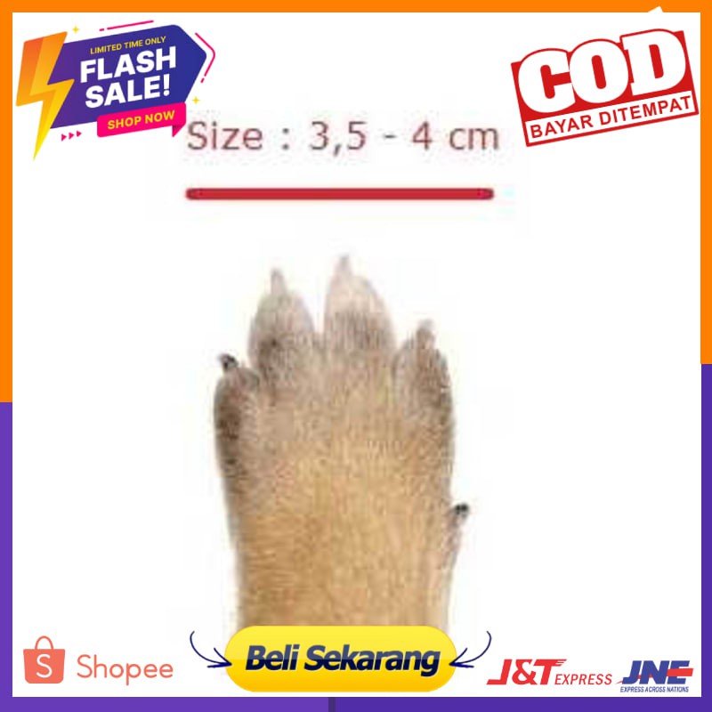 Sepatu anjing sepatu kucing sepatu hewan kaos kaki anjing kucing hewan