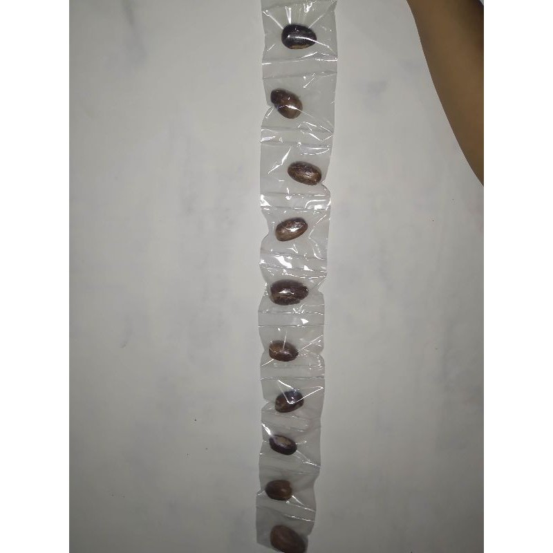 

pala isi 10 pcs
