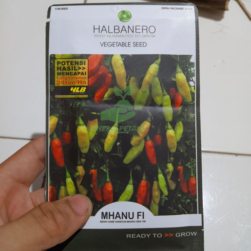 benih cabe terbaik MHANU F1 cabai rawit varietas isi 10gr