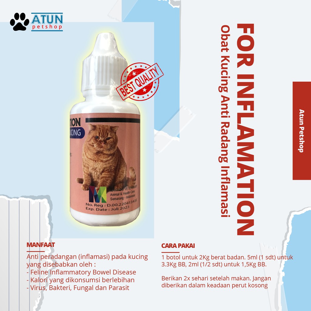 FOR INFLAMATION DROP Obat Anti Inflamasi Radang Pada Kucing