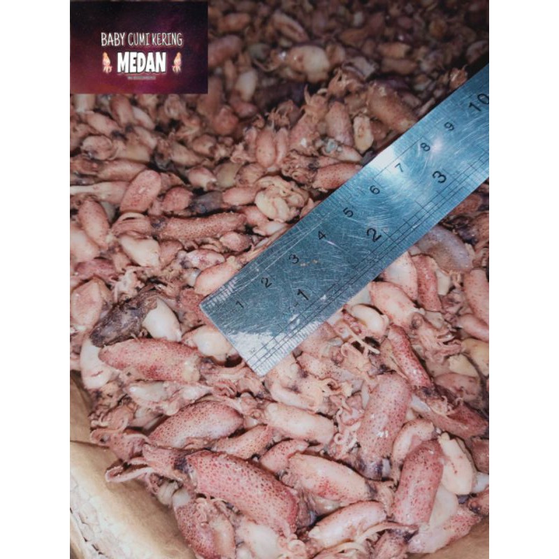 

Baby Cumi Kering 1 kg asin 2-4 cm