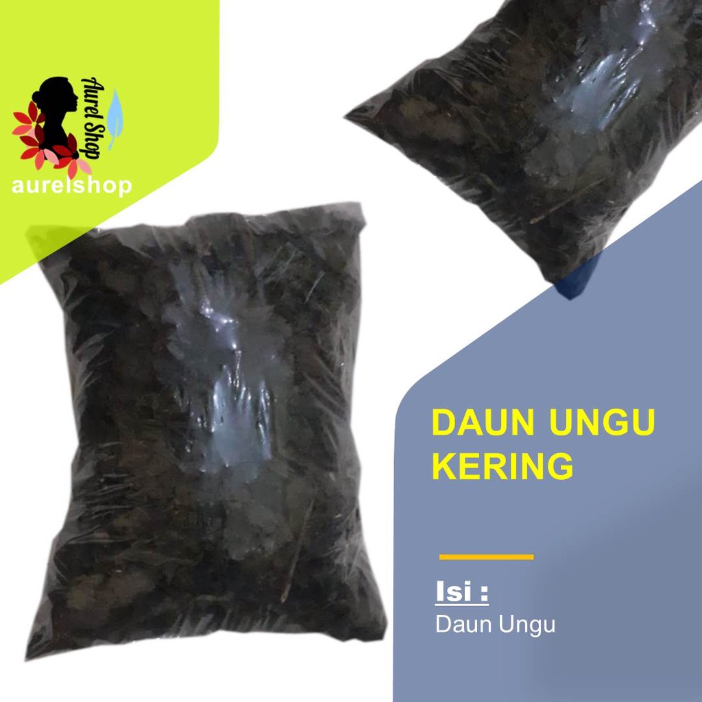 

Daun Ungu Kering/ Daun Wungu/ Handeuleum/ Caricature Plant Leaf/ Graptophyllum pictum