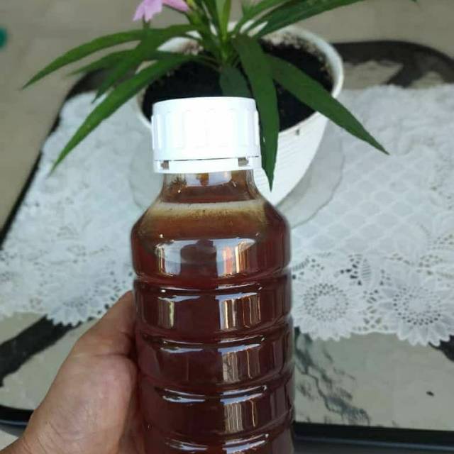 

Madu Hutan Asli/Madu hutan murni/Madu hutan murah