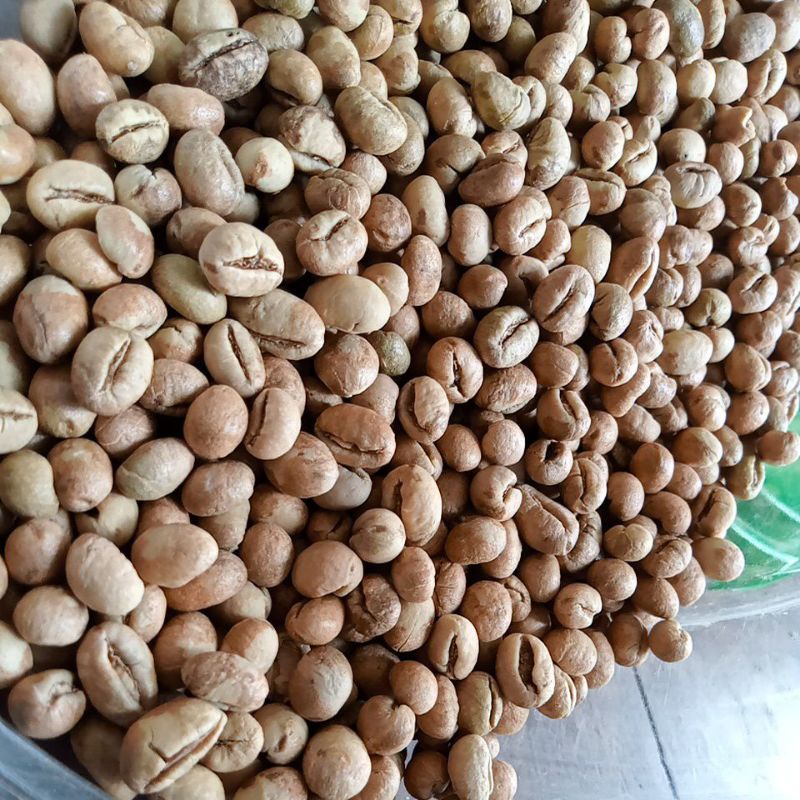 

RobustaLanang