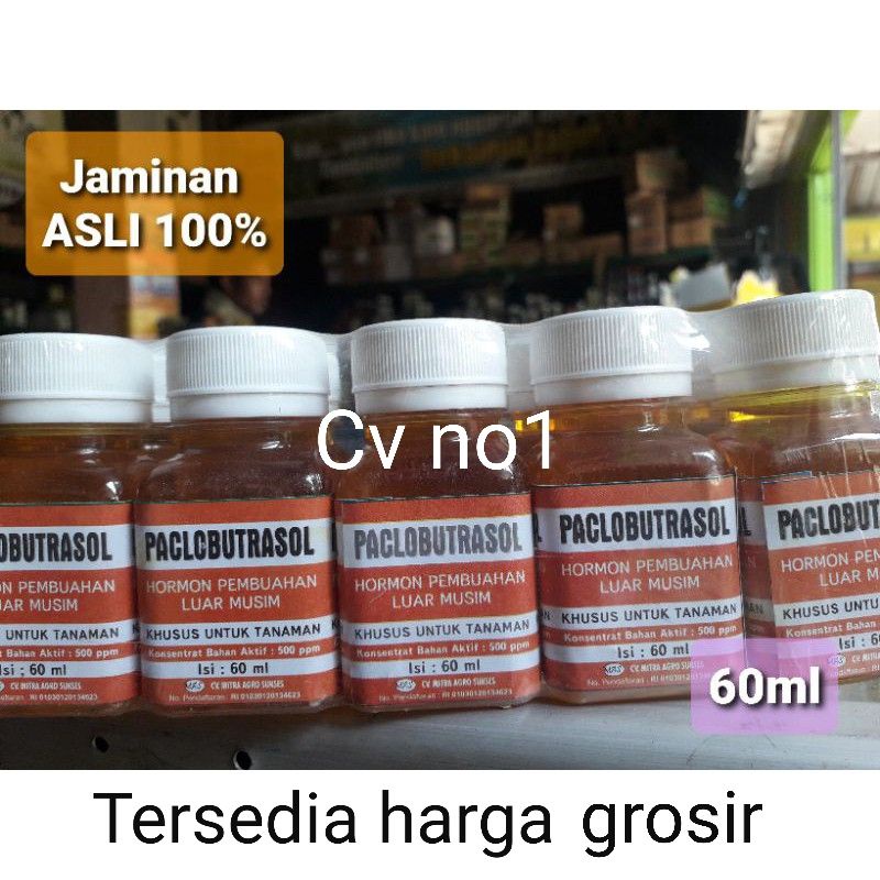 Hormon Paclobutrazol Paklobutrazol Giberelin Auksin Sitokinin Asli Murni 60 ml