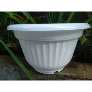  POT  TANAMAN BUNGA  BULAT  30 PUTIH  Shopee Indonesia