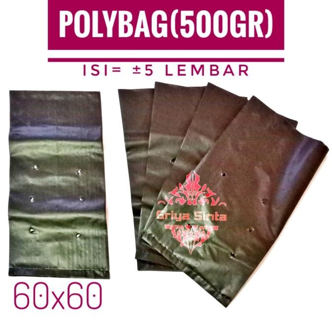 Polybag 60x60