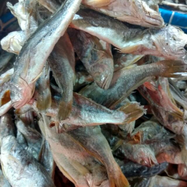 

Ikan asin kepala batu