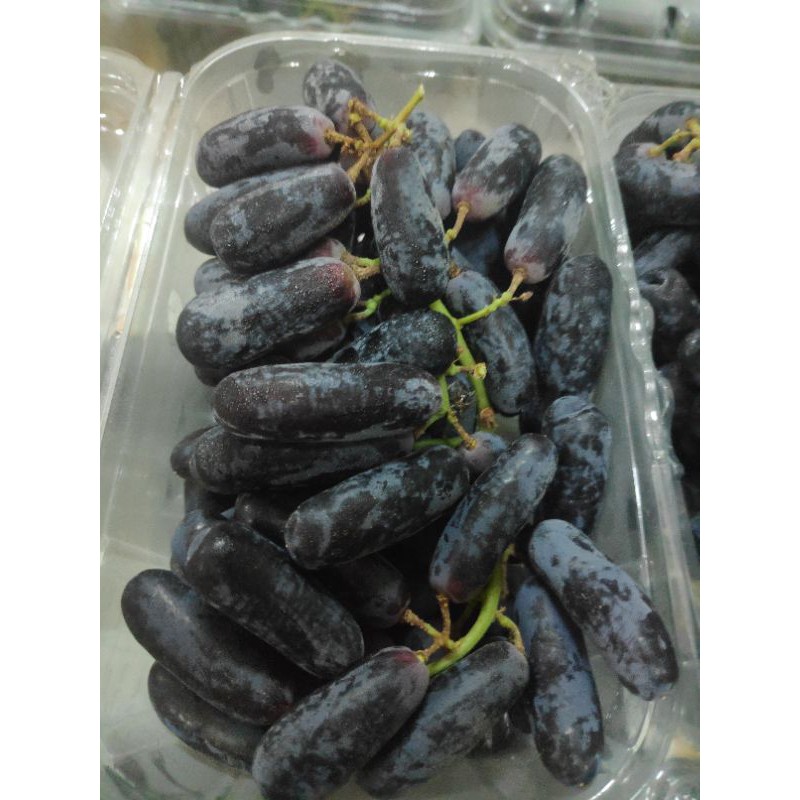 

anggur Autumn sweet saphire jari 500 gram