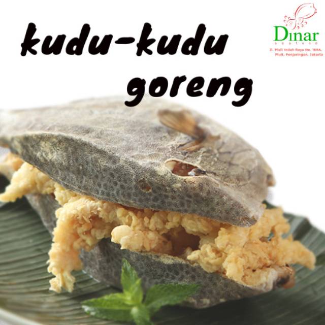 

Kudu-Kudu Goreng