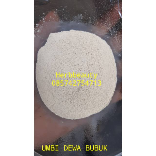 

UMBI DEWA BUBUK / OBAT DIABETES / OBAT TUMOR 1 KG